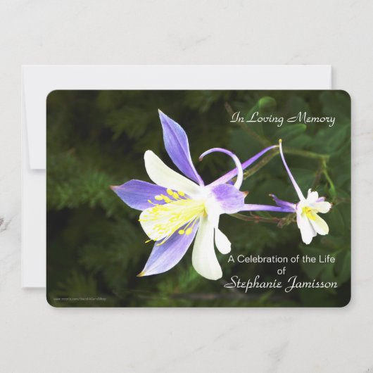 Paarse en witte bloem - Nodig Kaart (Voorkant)