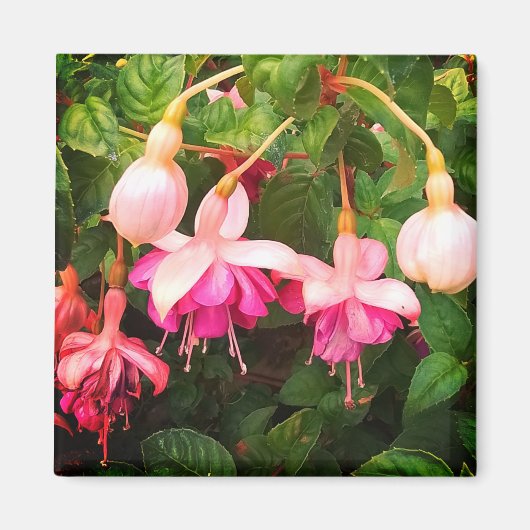 Paarse en witte bloemen magneet (Voorkant)