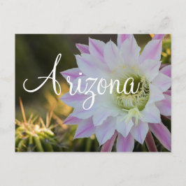 Paarse en witte cactus, Arizona Briefkaart