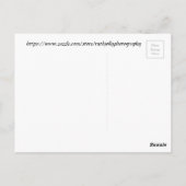 Paarse en witte cactus bloom briefkaart (Achterkant)