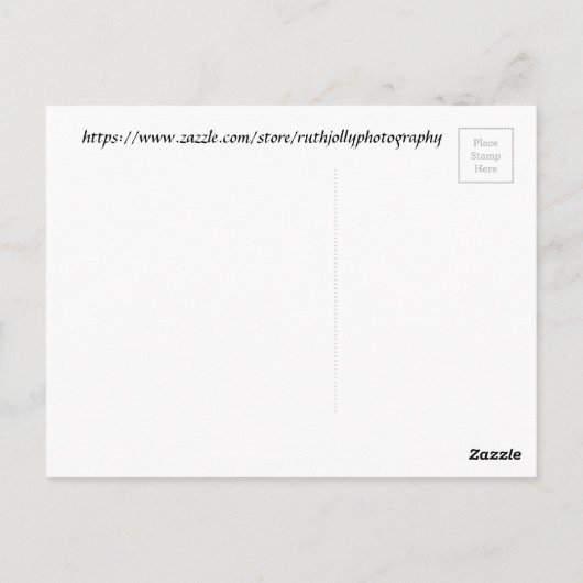 Paarse en witte cactus bloom briefkaart (Achterkant)