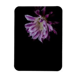 Paarse en witte cactus bloom magneet