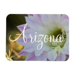 Paarse en witte cactus Flower, Arizona Magneet