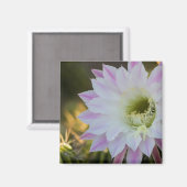 Paarse en witte cactus ventilator magneet (Voorkant / Achterkant)