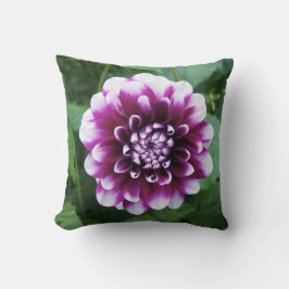 Paarse en Witte Dahlia Kussen