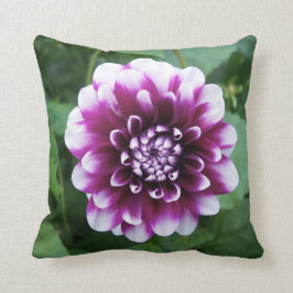 Paarse en Witte Dahlia Kussen