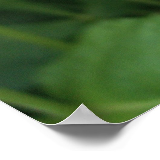 Paarse en Witte Dahlia Poster (Hoek)