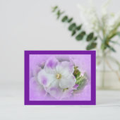 Paarse en witte Fancy Afrikaanse Violetten Briefkaart (Staand voorkant)