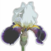 Paarse en Witte Iris Aangepaste Sticker (Voorkant)