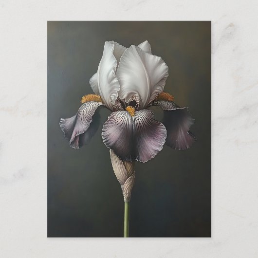Paarse en witte iris botanische schilderij briefkaart (Voorkant)
