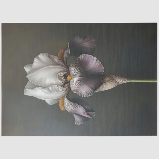 Paarse en witte Iris Botanische Schilderij Decoupa Tissuepapier (Voorkant)