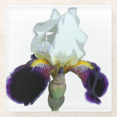 Paarse en Witte Iris Glas Onderzetters (Voorkant)