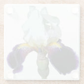 Paarse en Witte Iris Glas Onderzetters (Achterkant)