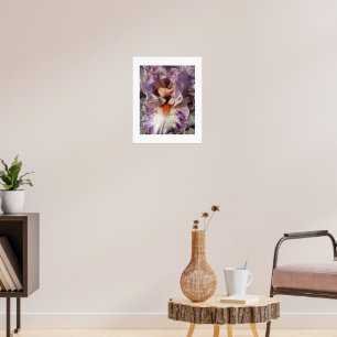 Paarse en Witte Iris met Oranje Baard Bloem Poster