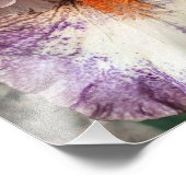 Paarse en witte iris met Oranje baardbloem Foto Afdruk (Hoek)