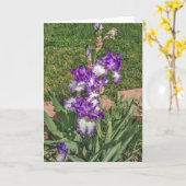 Paarse en witte Iris - Moederdag, goed Kaart (Gele Bloem)