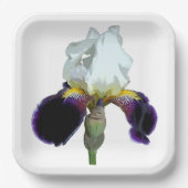Paarse en Witte Iris Papieren Borden Bordje (Voorkant)