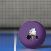 Paarse en Witte Iris Ping Pong Bal Pingpongbal (Net)