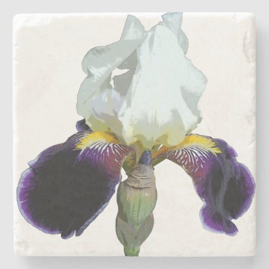 Paarse en Witte Iris Stenen Onderzetter (Voorkant)