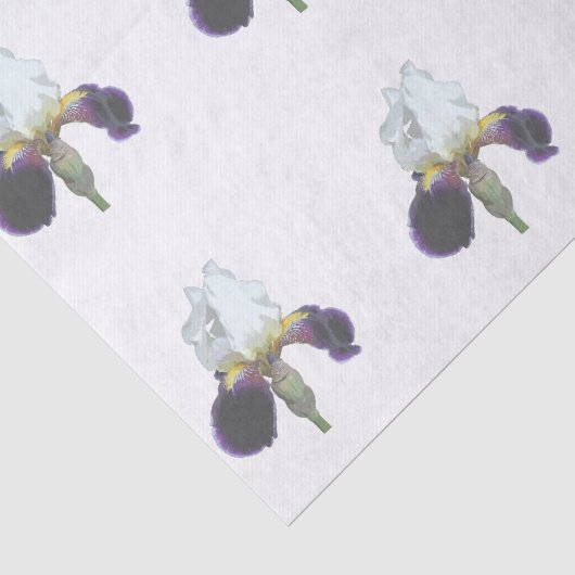 Paarse en Witte Iris Tissuepapier (Detail)