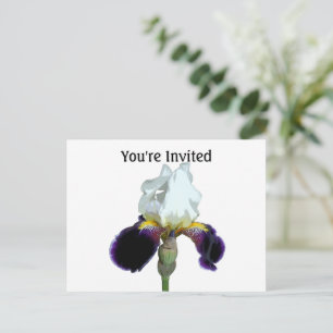 Paarse en Witte Iris Uitnodigingsansichtkaart Briefkaart