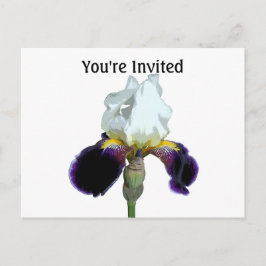 Paarse en Witte Iris Uitnodigingsansichtkaart Briefkaart