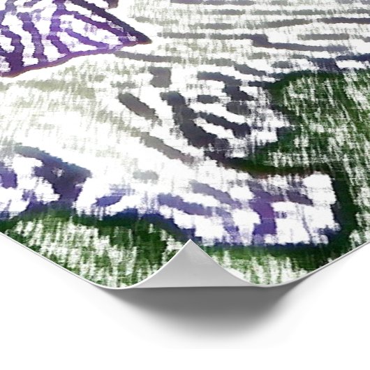 Paarse en witte iris van boven poster (Hoek)