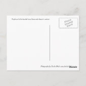 Paarse en witte Irises Briefkaart (Achterkant)