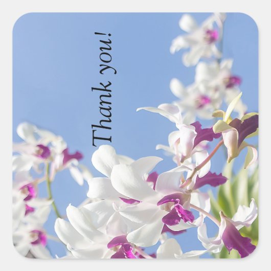 Paarse en witte orchidee bloemen vierkante sticker (Voorkant)