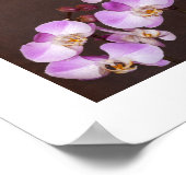 Paarse en Witte Orchidee Close-Up Foto Poster (Hoek)