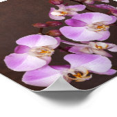 Paarse en Witte Orchidee Close-Up Foto Poster (Hoek)