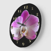 Paarse en witte orchidee grote klok (Hoek)