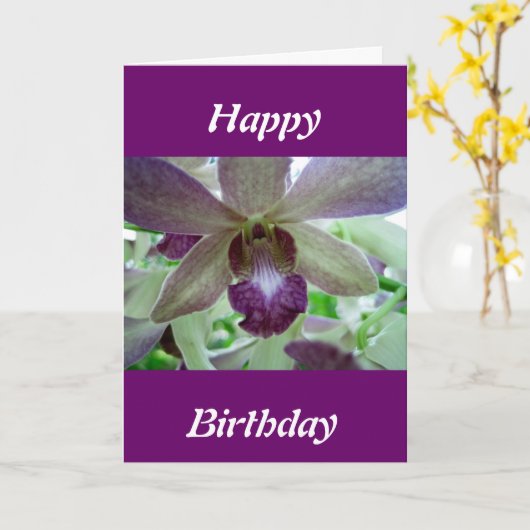 Paarse en witte orchidee kaart (Gele Bloem)