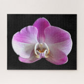 Paarse en witte orchidee legpuzzel (Horizontaal)
