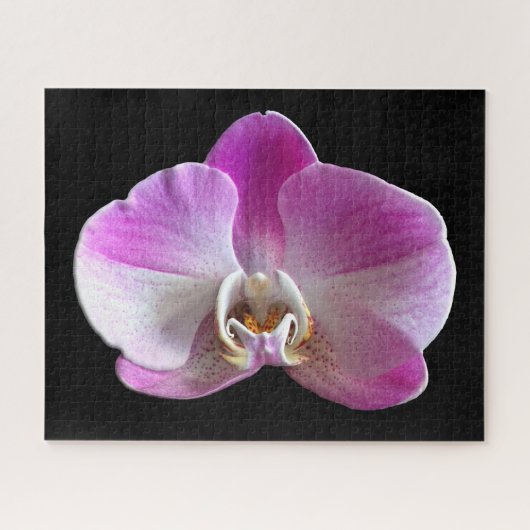Paarse en witte orchidee legpuzzel (Horizontaal)