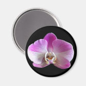 Paarse en witte orchidee magneet (Voorkant / Achterkant)