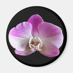 Paarse en witte orchidee magneet