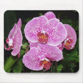 Paarse en witte orchidee muismat (Voorkant)