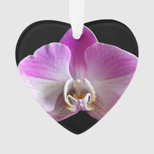 Paarse en witte orchidee ornament (voorkant)