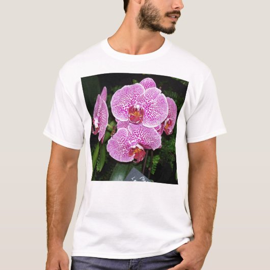 Paarse en witte orchidee t-shirt (Voorkant)