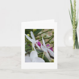 Paarse en witte orchideeën blanco kaart