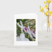 Paarse en witte orchideeën blanco kaart (Gele Bloem)