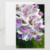 Paarse en witte orchideeën briefpapier (Voorkant / Achterkant)