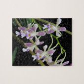 Paarse en witte orchideeën legpuzzel (Horizontaal)