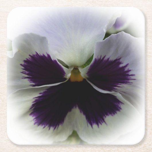 Paarse en witte paniek kartonnen onderzetters (Voorkant)