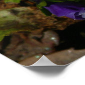 Paarse en witte pansieën, kleurrijke Floral Poster (Hoek)