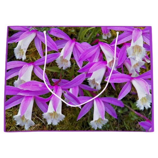 Paarse en witte pileione orchids Floral Groot Cadeauzakje (Voorkant)