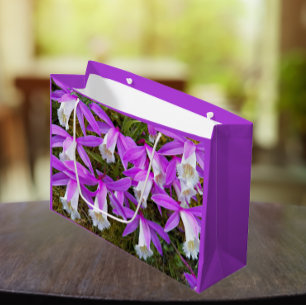 Paarse en witte pileione orchids Floral Groot Cadeauzakje
