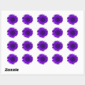 Paarse en witte Pop zonnebloem Ronde Sticker (Vel)