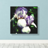 Paarse en witte reuzenpompoen canvas afdruk (Insitu (Houten vloer))